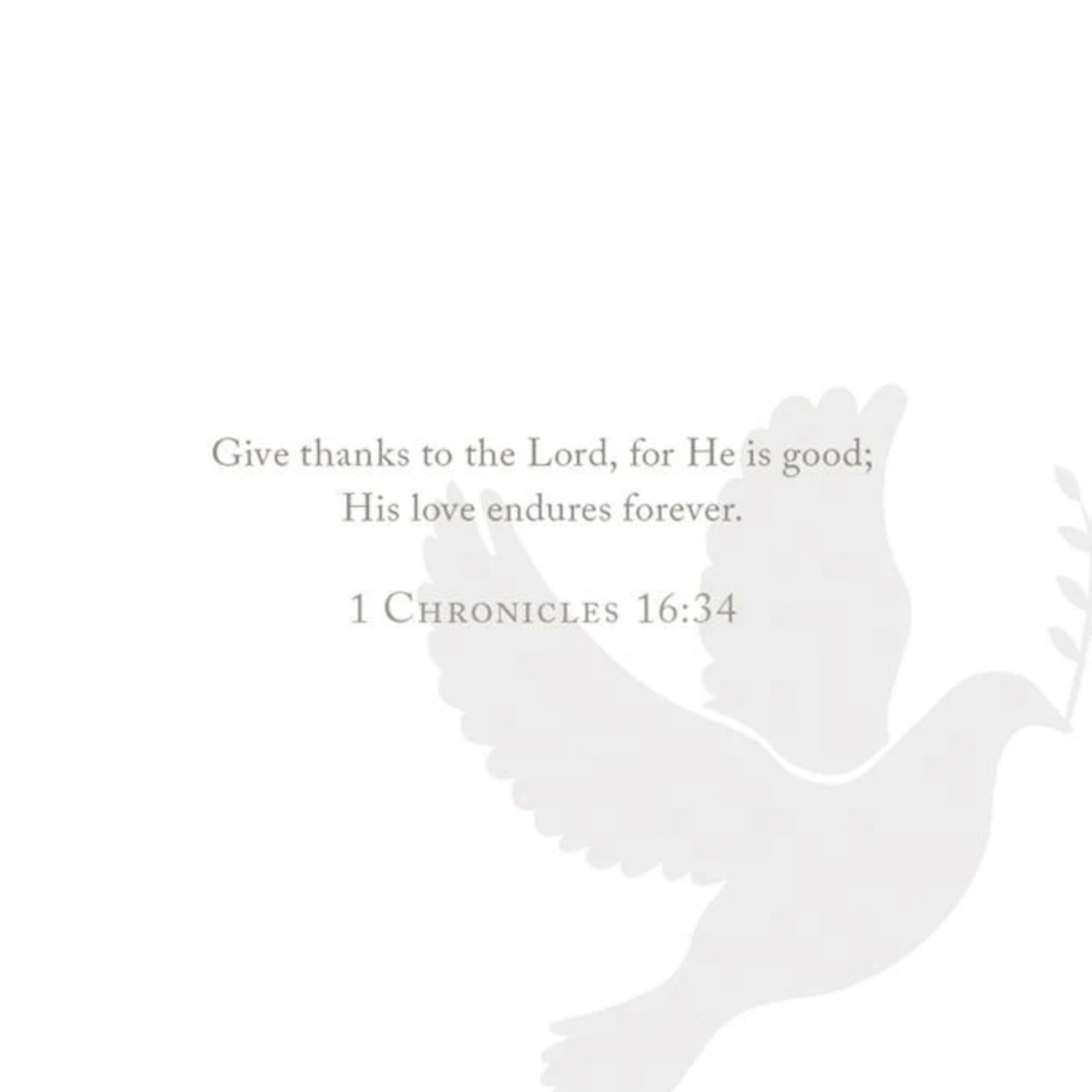 Anne Neilson Promise Scripture Cards