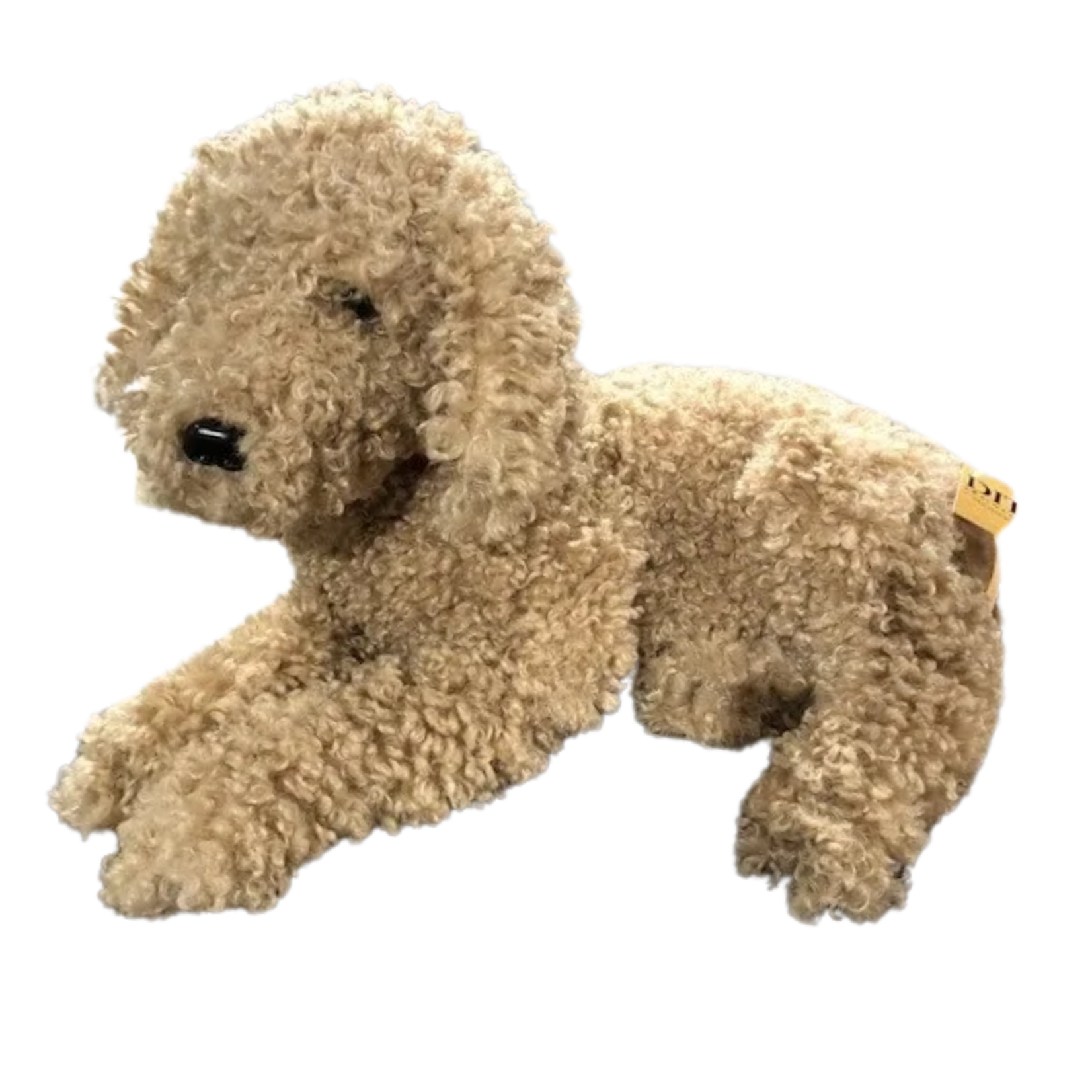 Best Friend Dog - Doodle