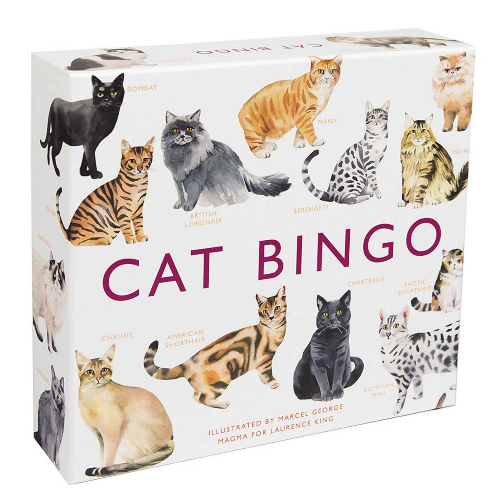 Cat Bingo