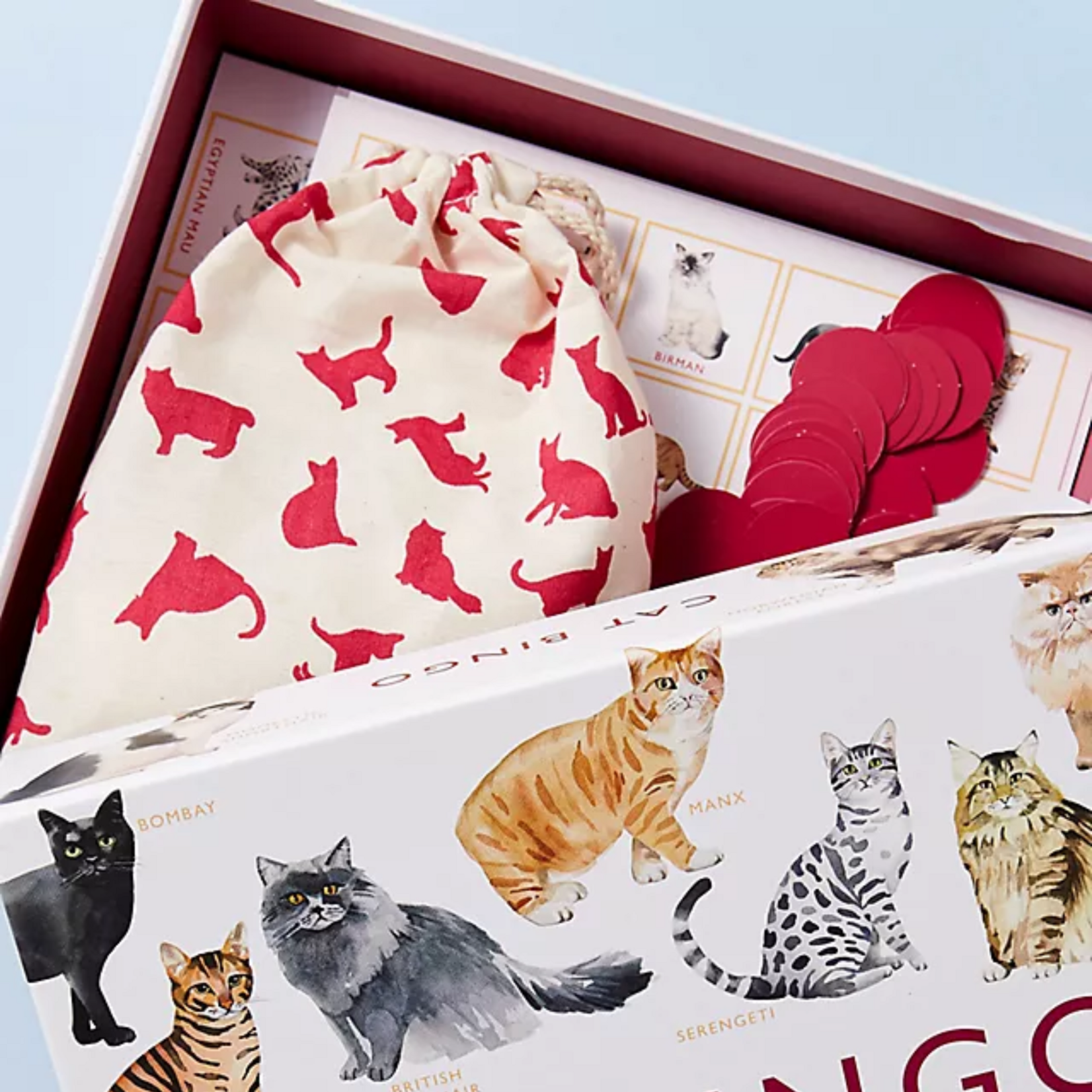 Cat Bingo