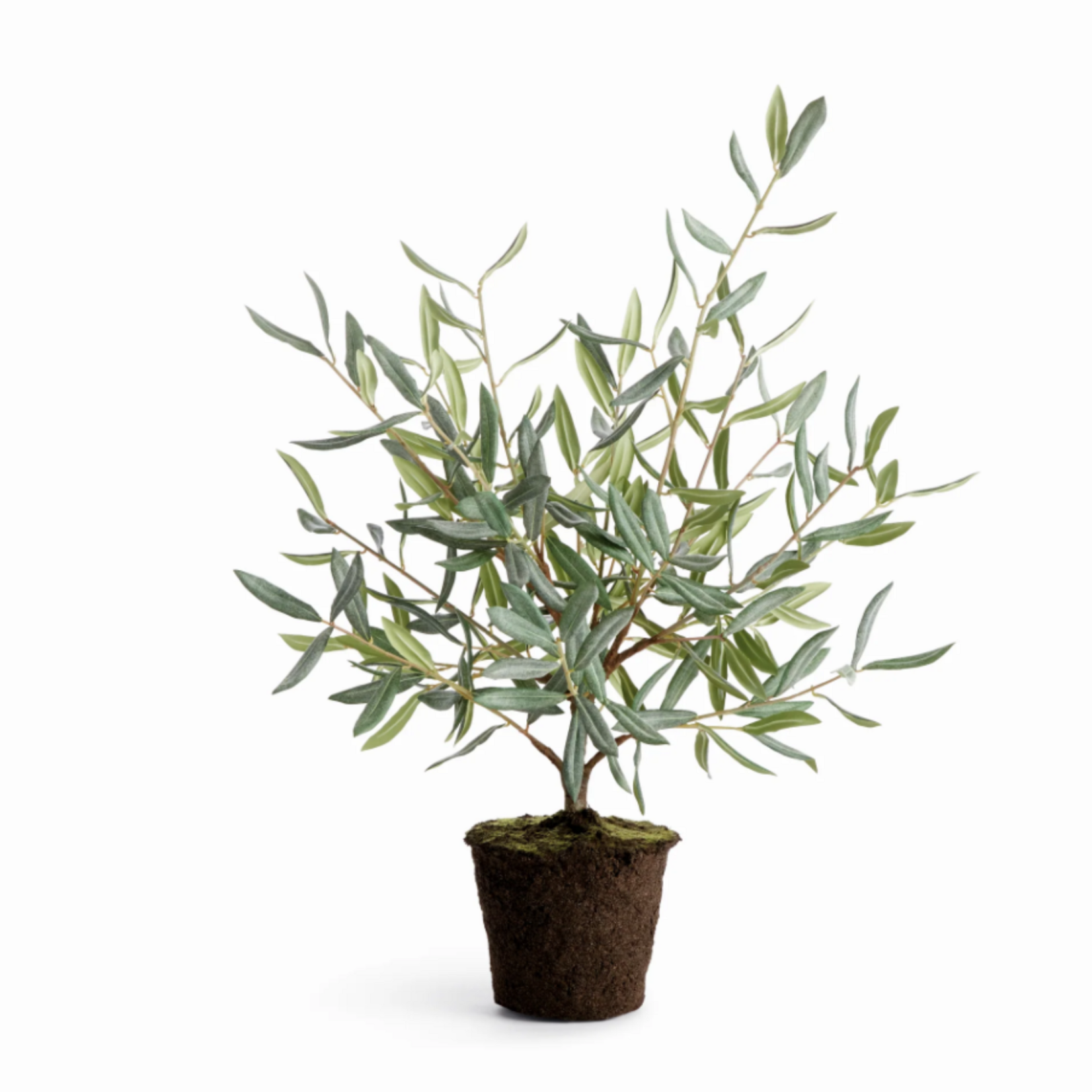 Olive Tree Drop-In - 26 inch