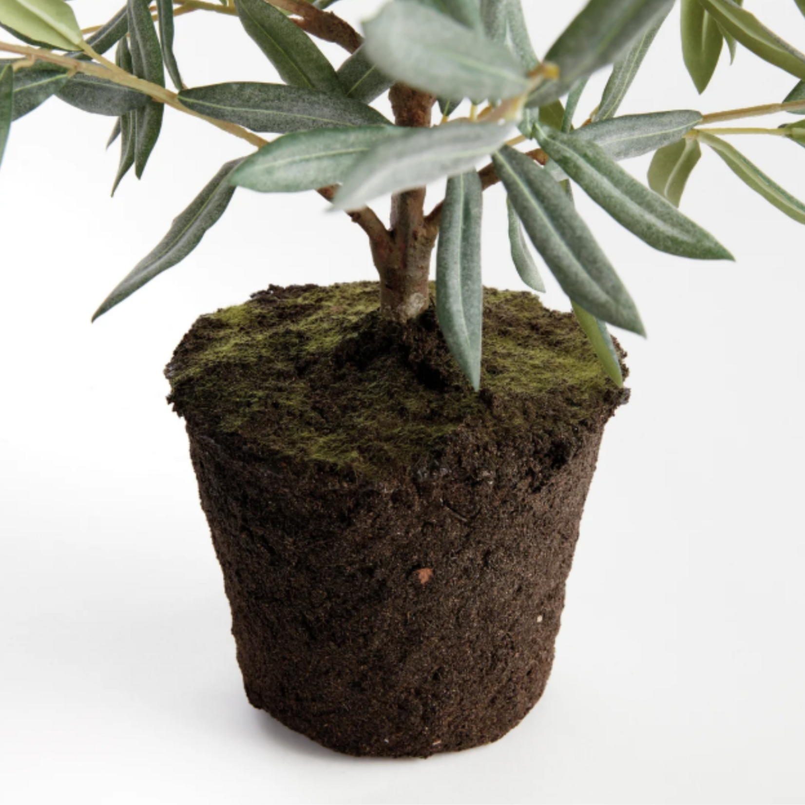 Olive Tree Drop-In - 26 inch