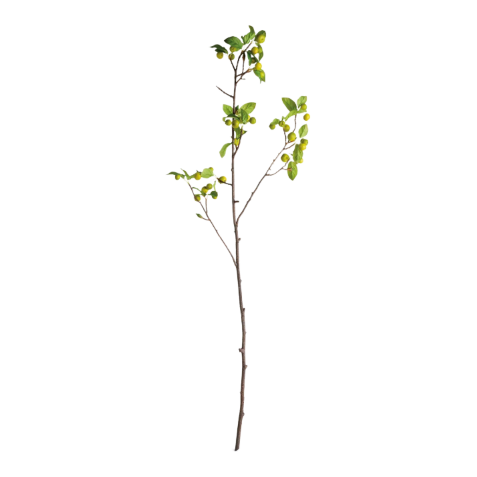 Crabapple Branches - 45 inch