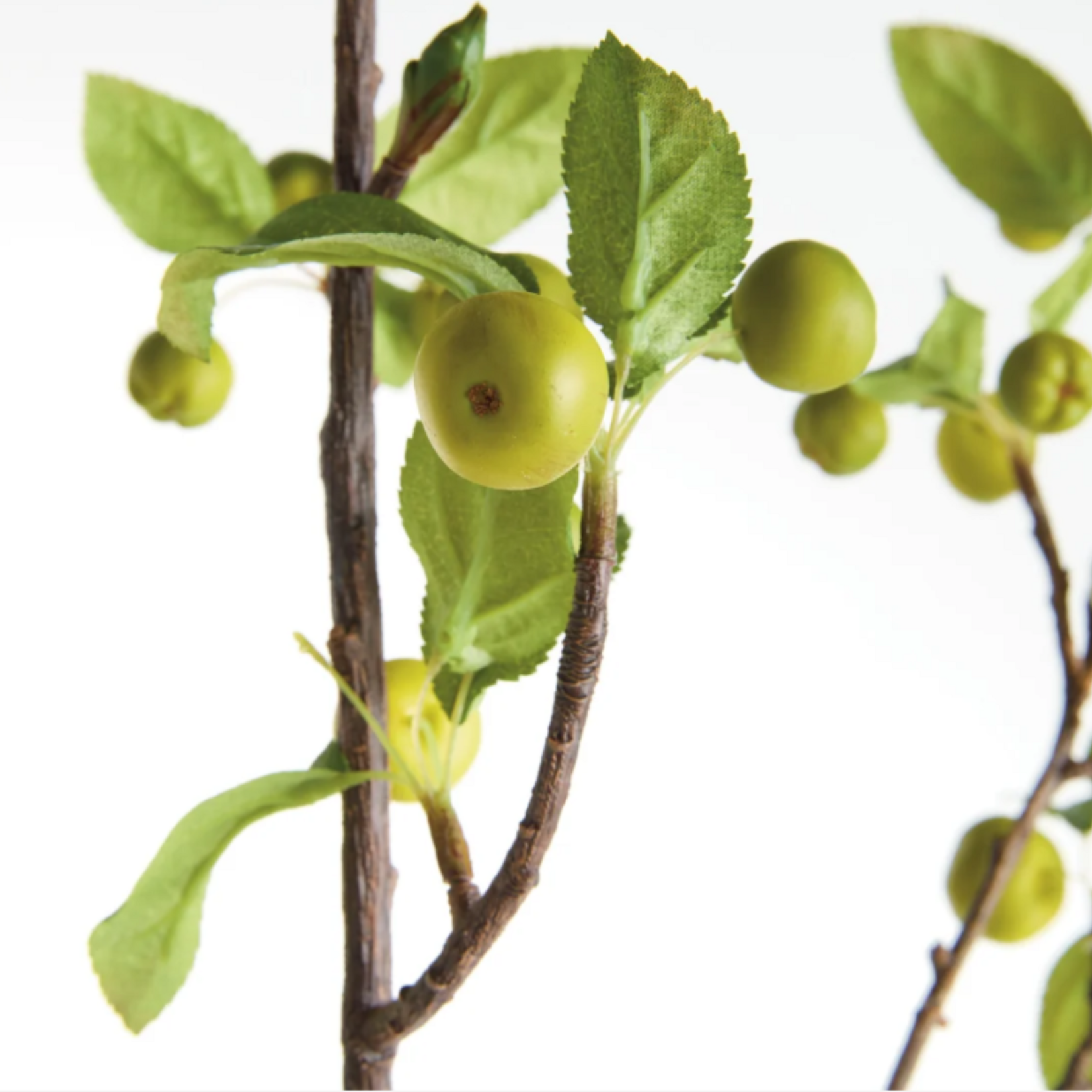 Crabapple Branches - 45 inch