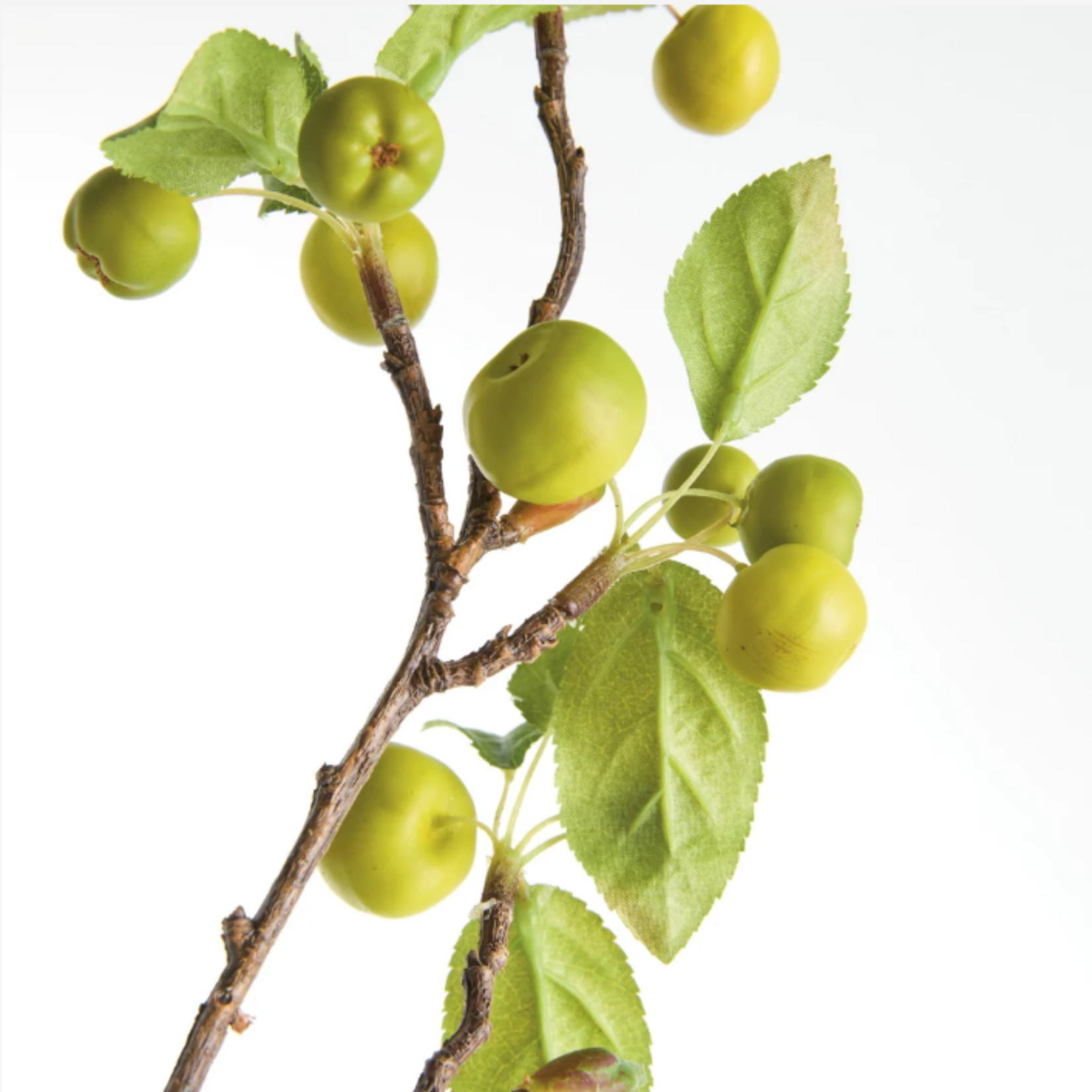 Crabapple Branches - 45 inch
