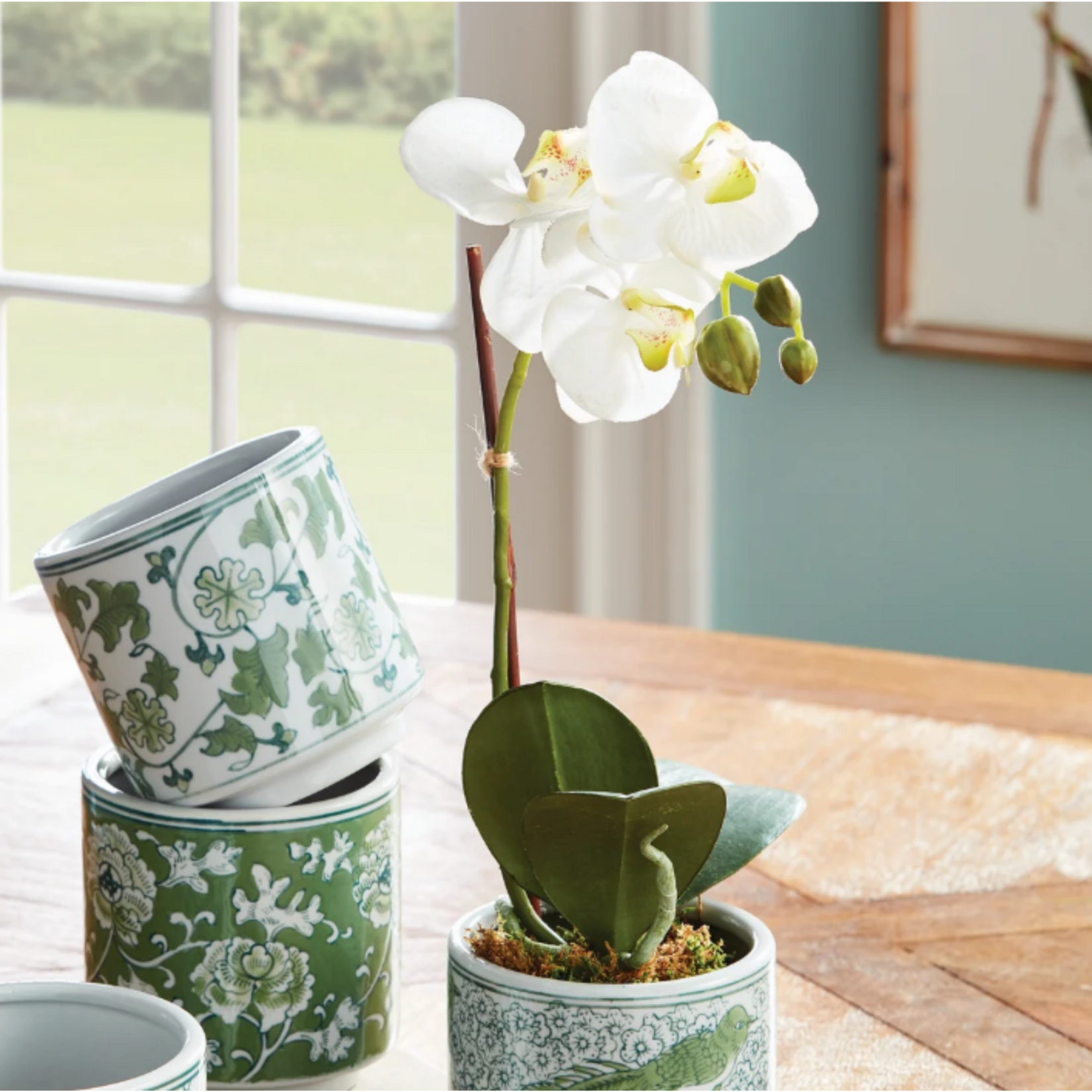 Phalaenopsis Orchid Drop-in - 15 inch