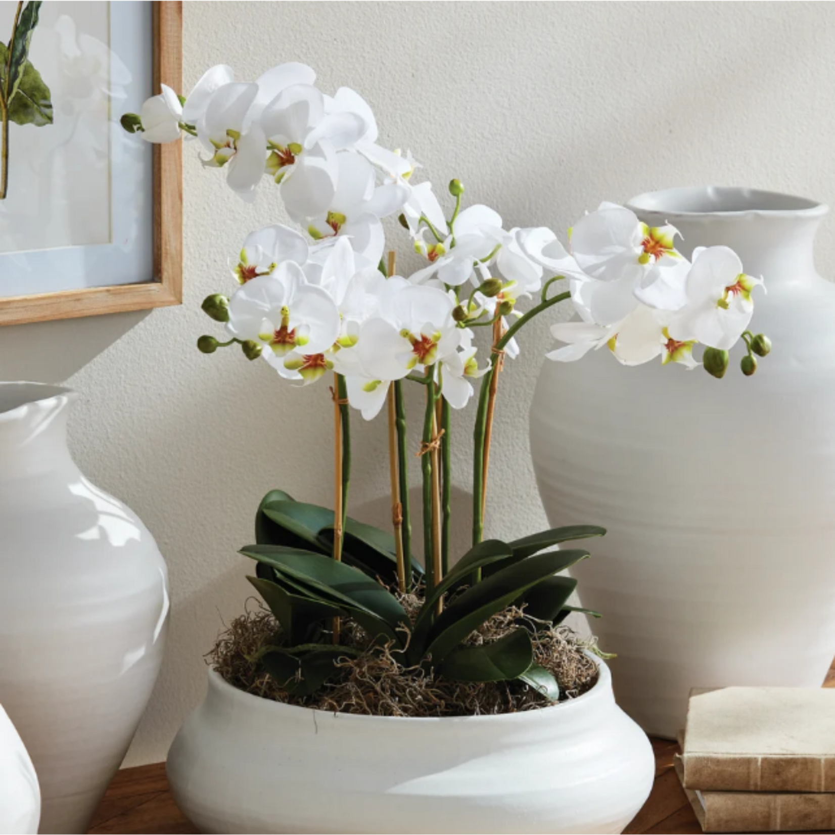 Phalaenopsis Orchid Drop-in - 20 inch