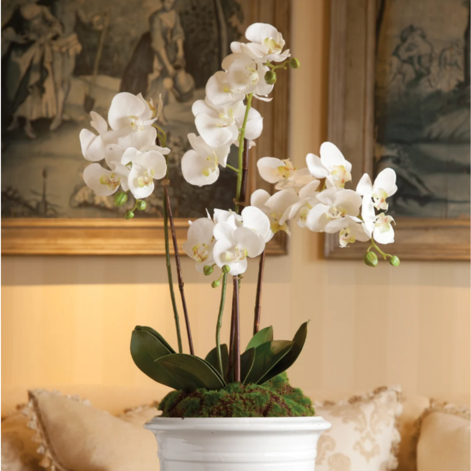 Phalaenopsis Orchid Drop-in - 30 inch