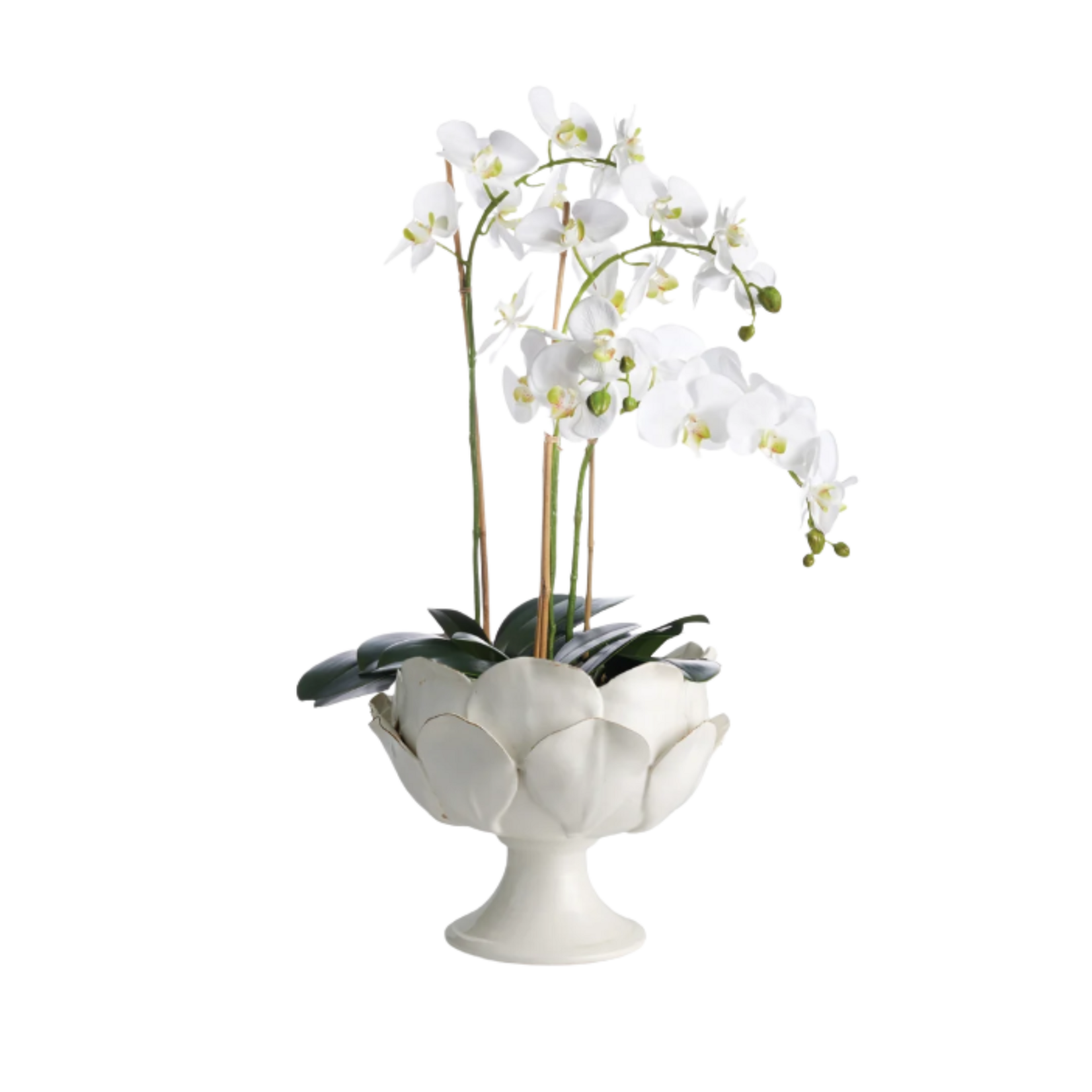 Di Rosa Footed Decorative Bowl