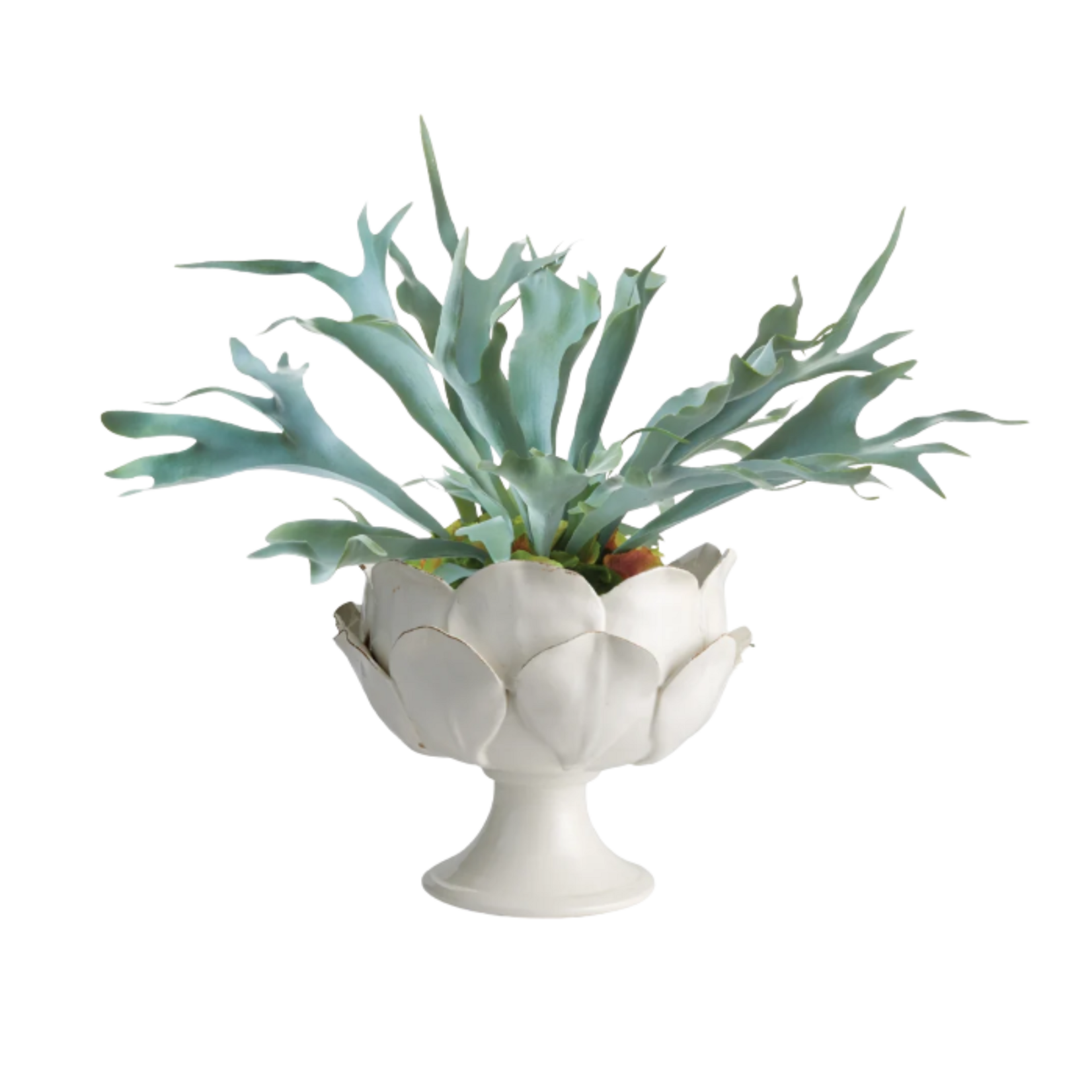 Di Rosa Footed Decorative Bowl