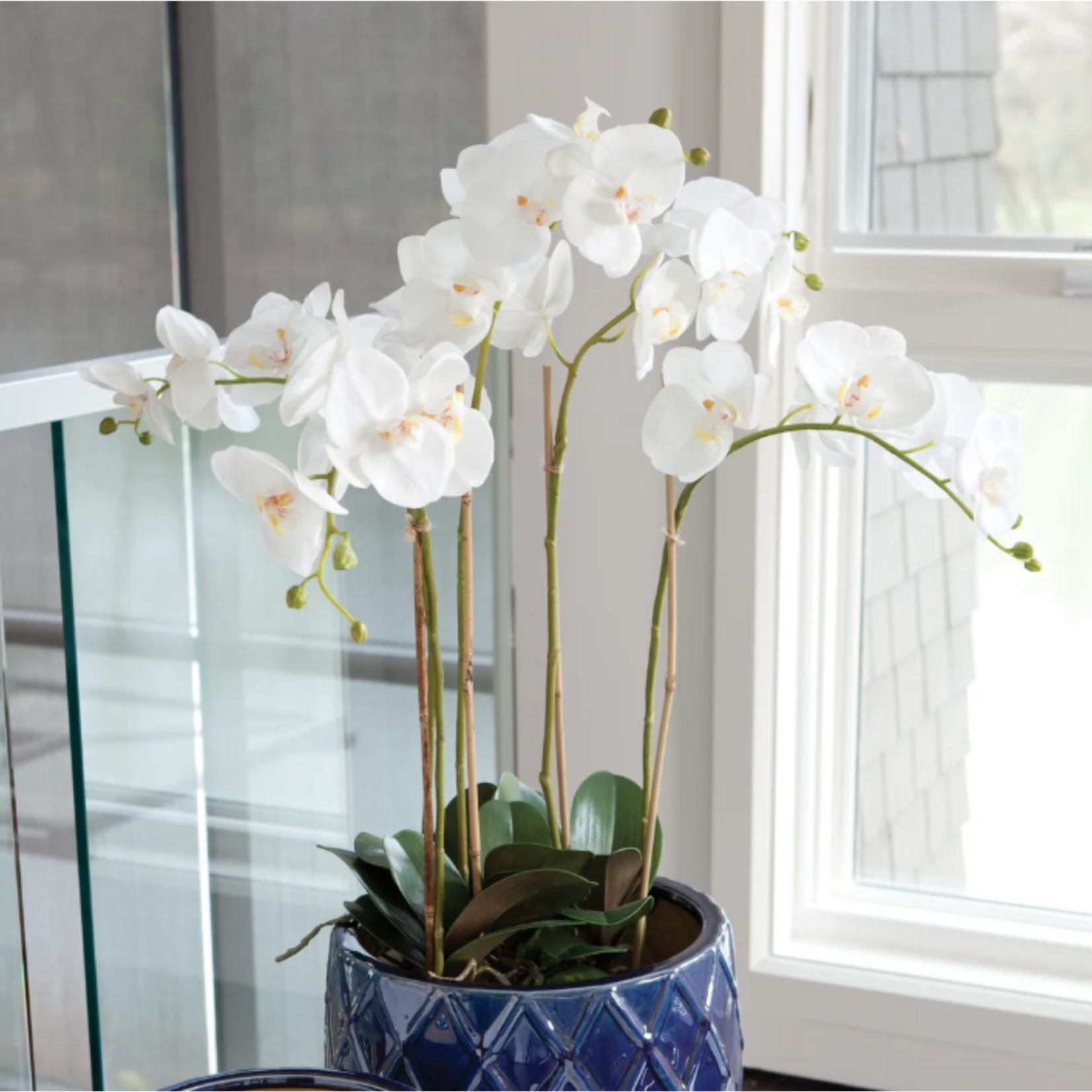 Phalaenopsis Orchid Bowl Drop-in - 25 inch