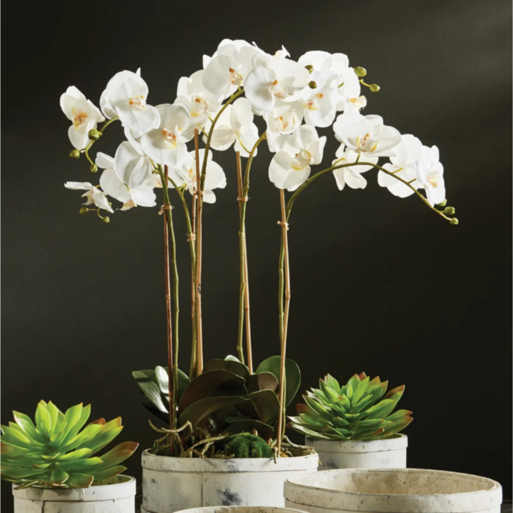 Phalaenopsis Orchid Bowl Drop-in - 25 inch