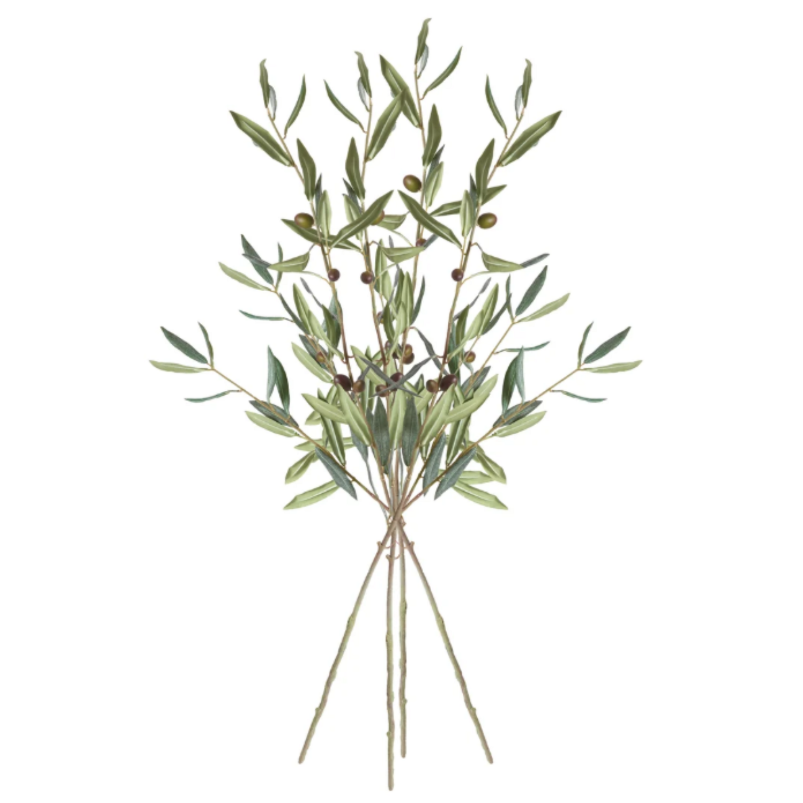 Olive Stems with Olives - 32inch