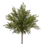 Soft Cedar Bush