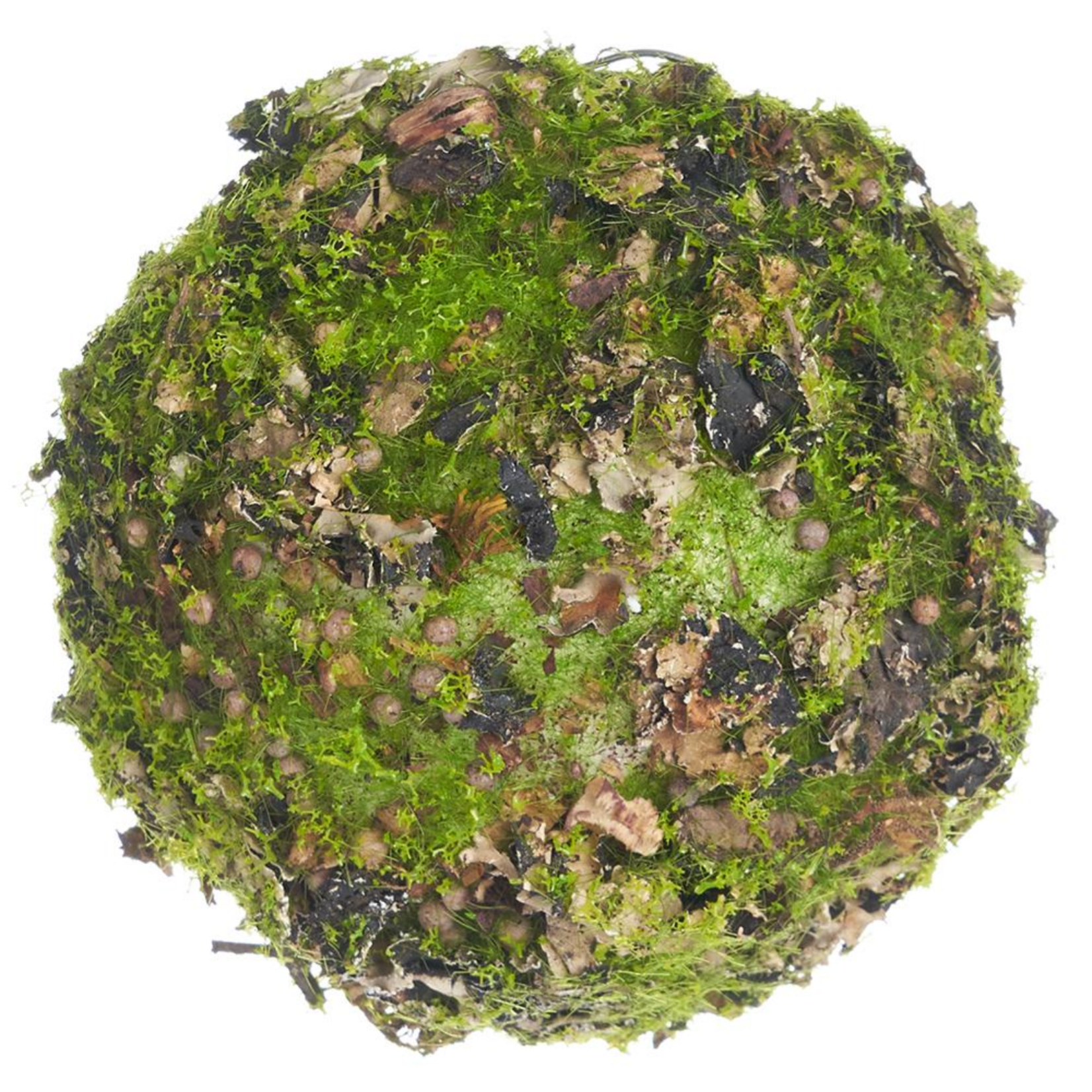 Moss/Lichen Orb - 3 inch