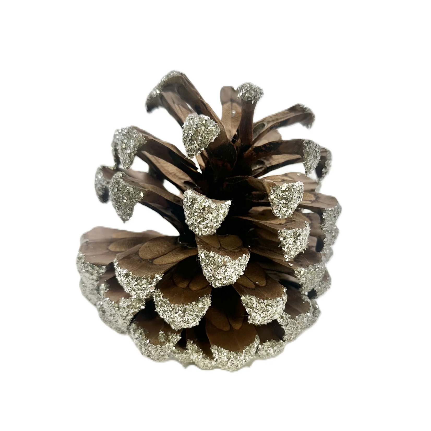 Pinecones - Large, Silver
