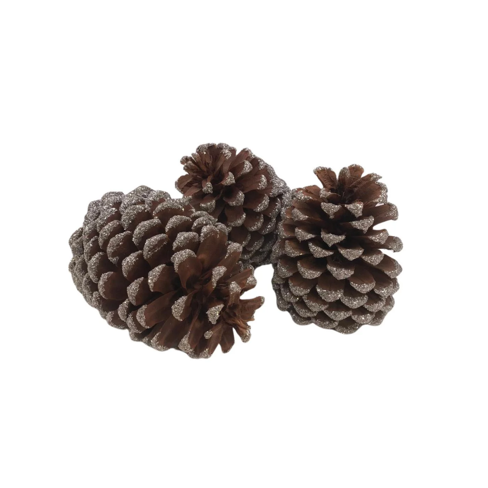 Pinecones - Silver