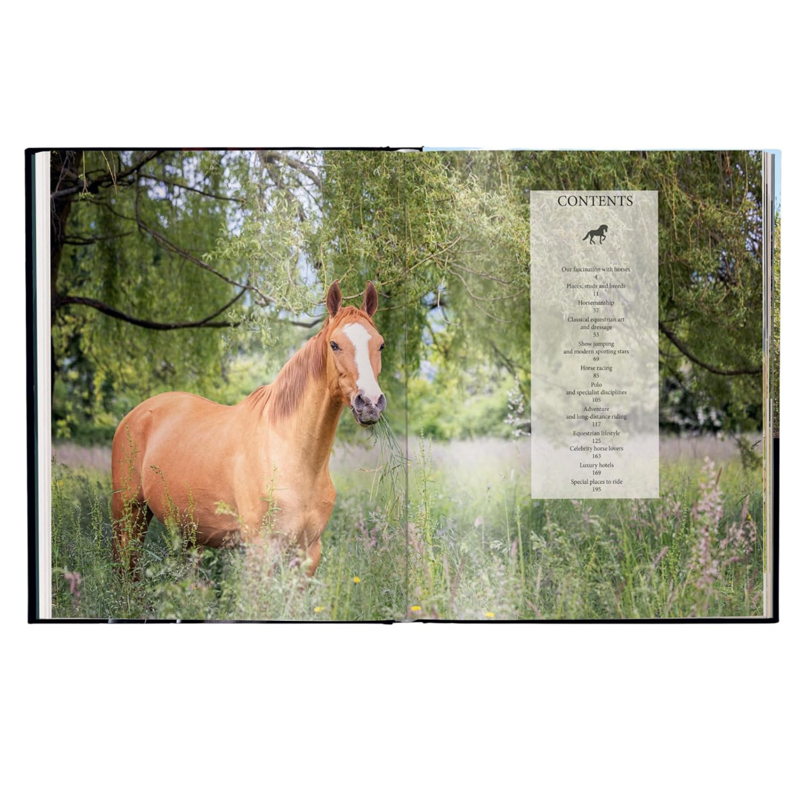 Ingram Publisher Services Equestrian   The Ultimate Book