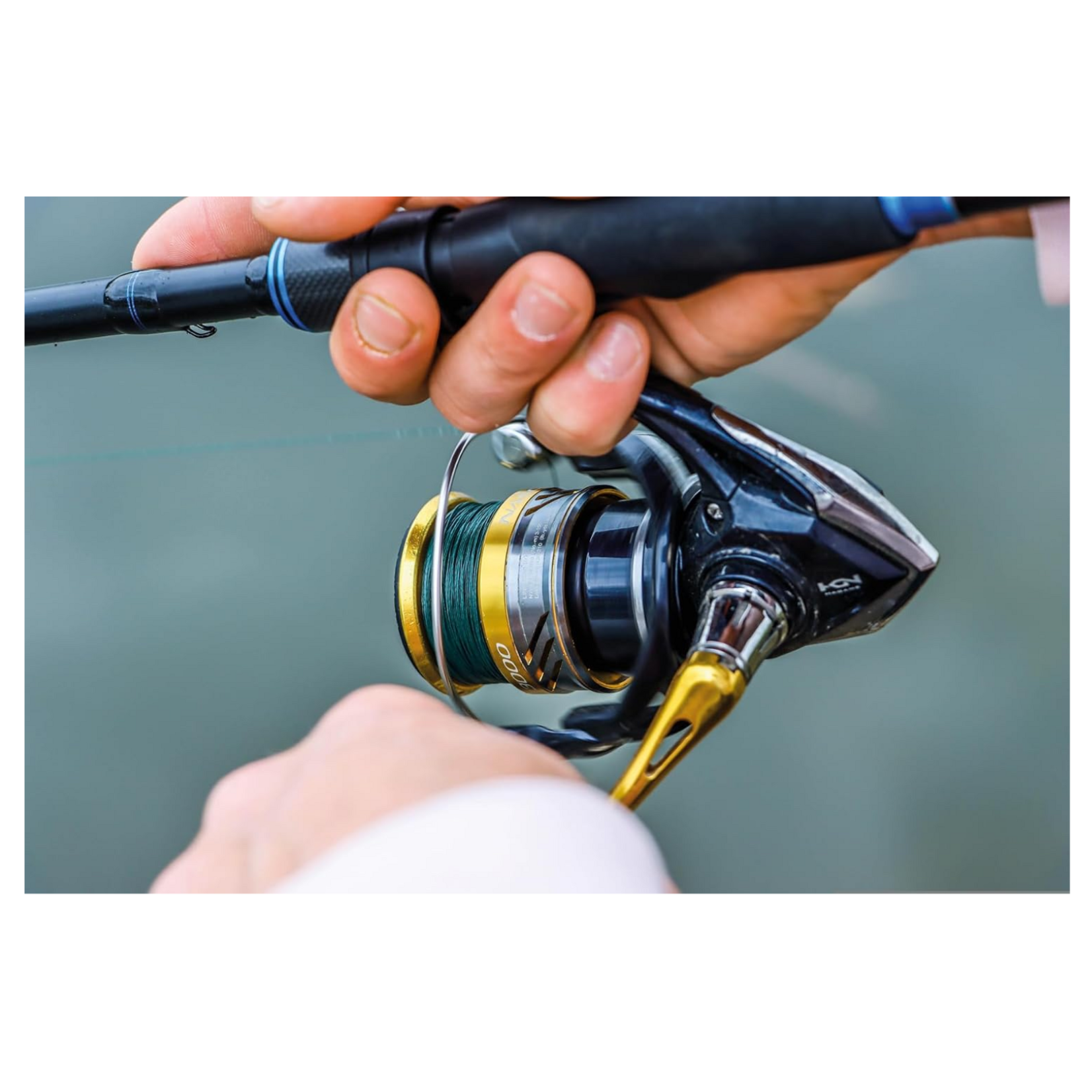 Ingram Publisher Services Fishing The Ultimate Book