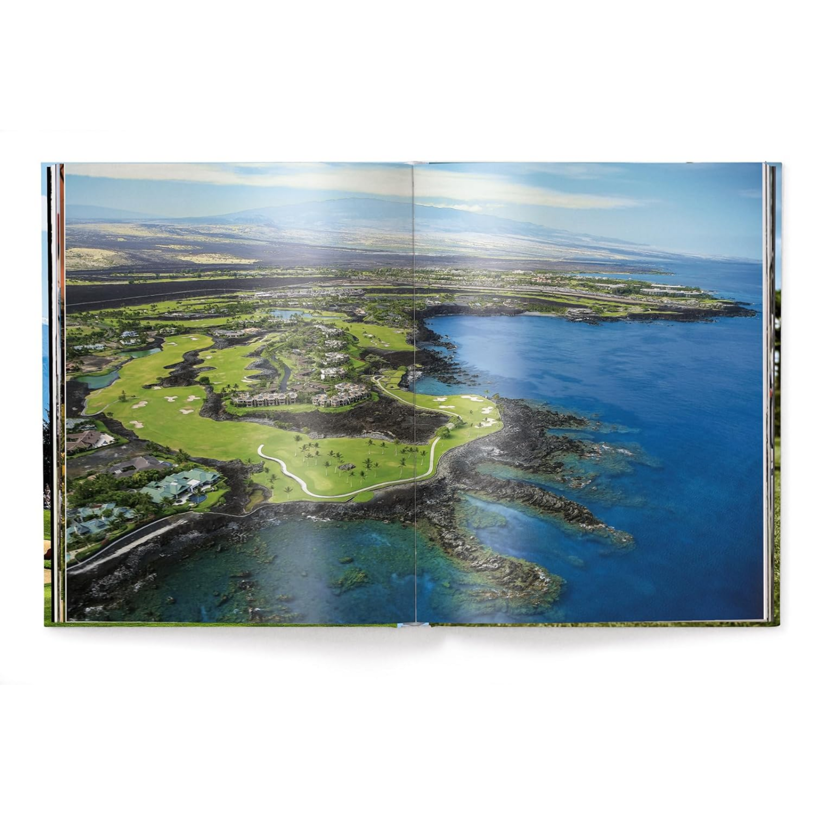 Ingram Publisher Services The Stylish Life: Golf