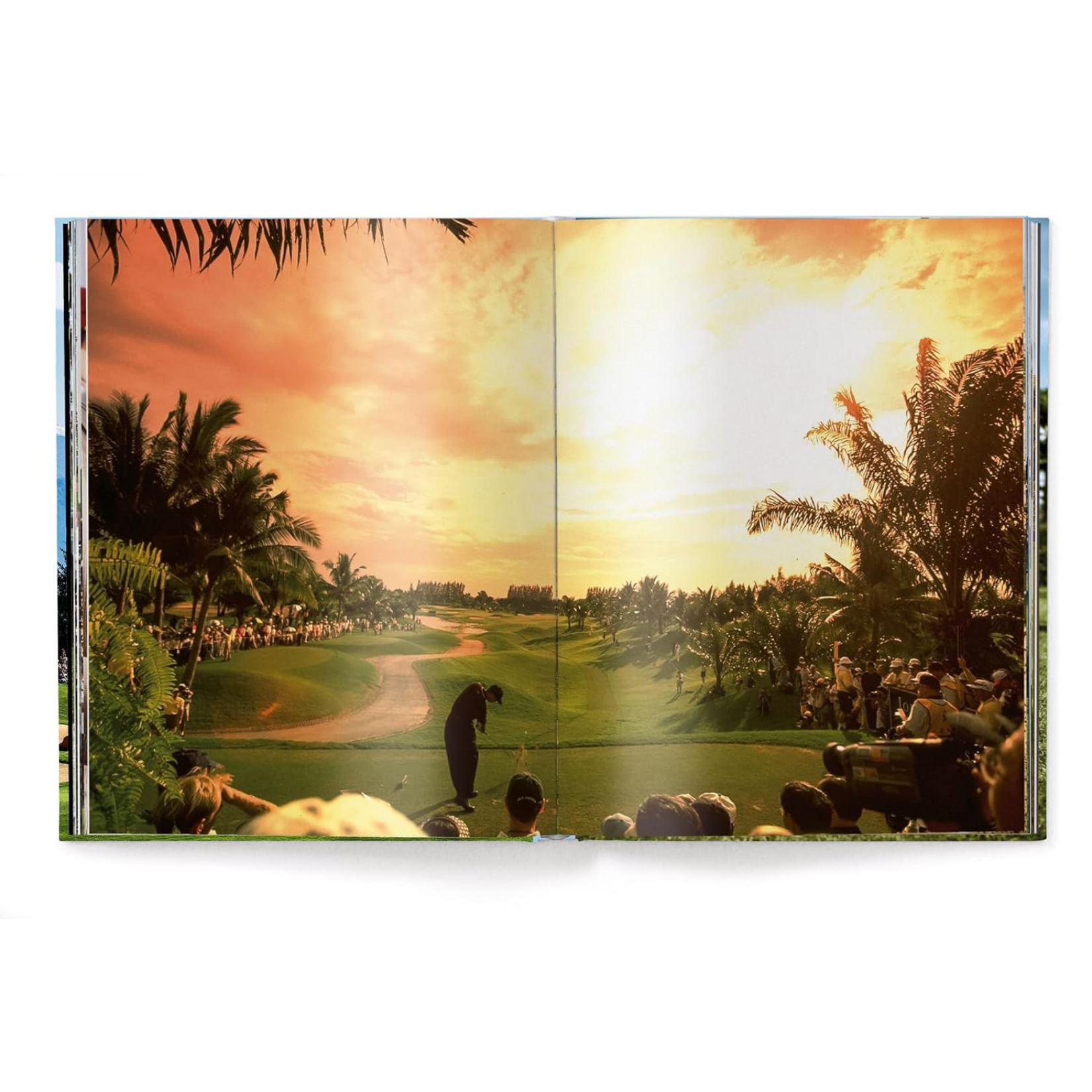 Ingram Publisher Services The Stylish Life: Golf