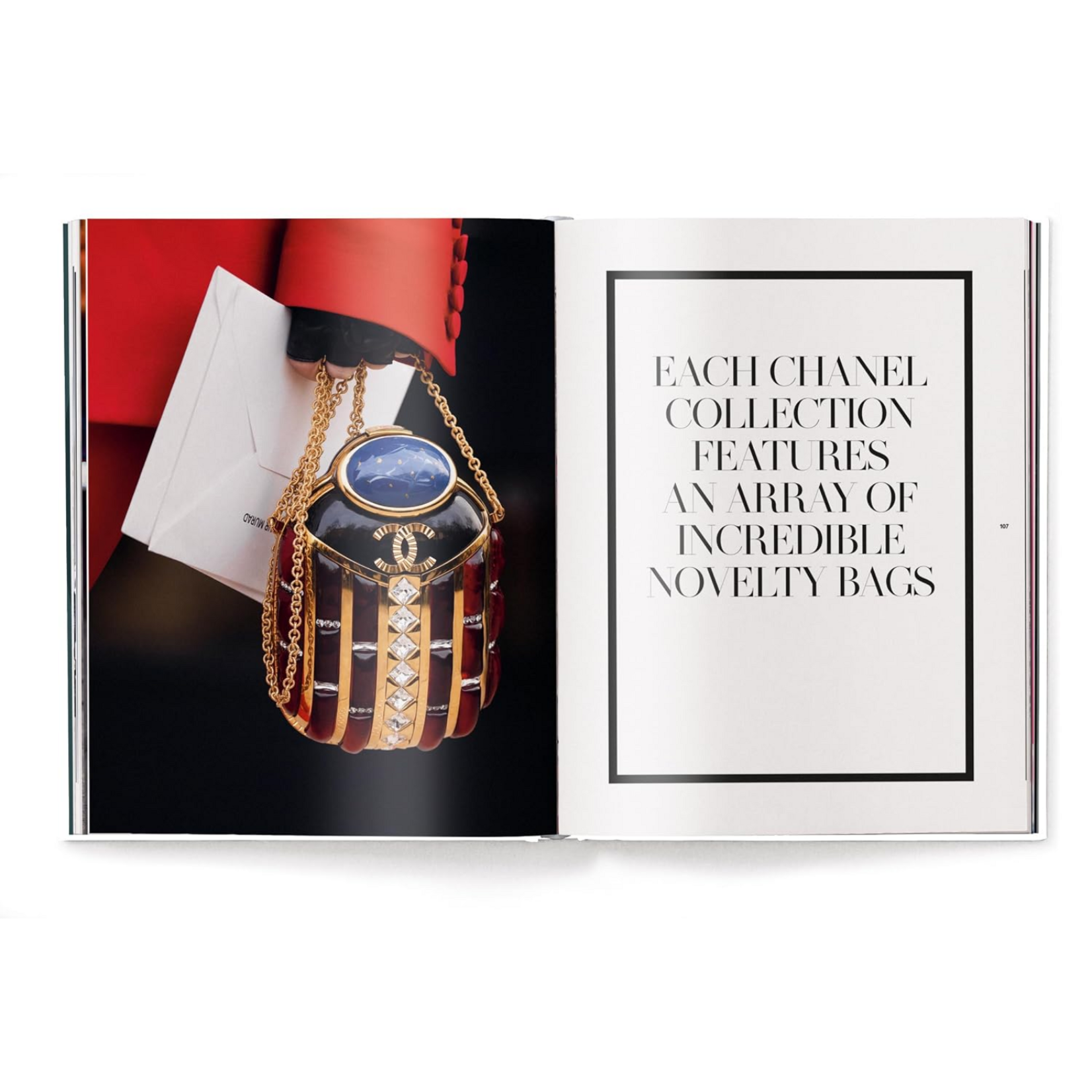Ingram Publisher Services The Ultimate  Guide to Chanel Bags