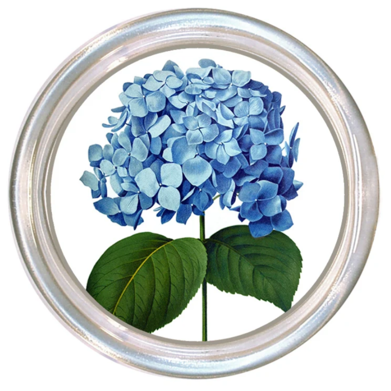 Marye- Kelley Oversized Glass Coaster (additional styles available)
