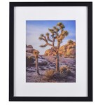 Discount Central 20x24 picture frame