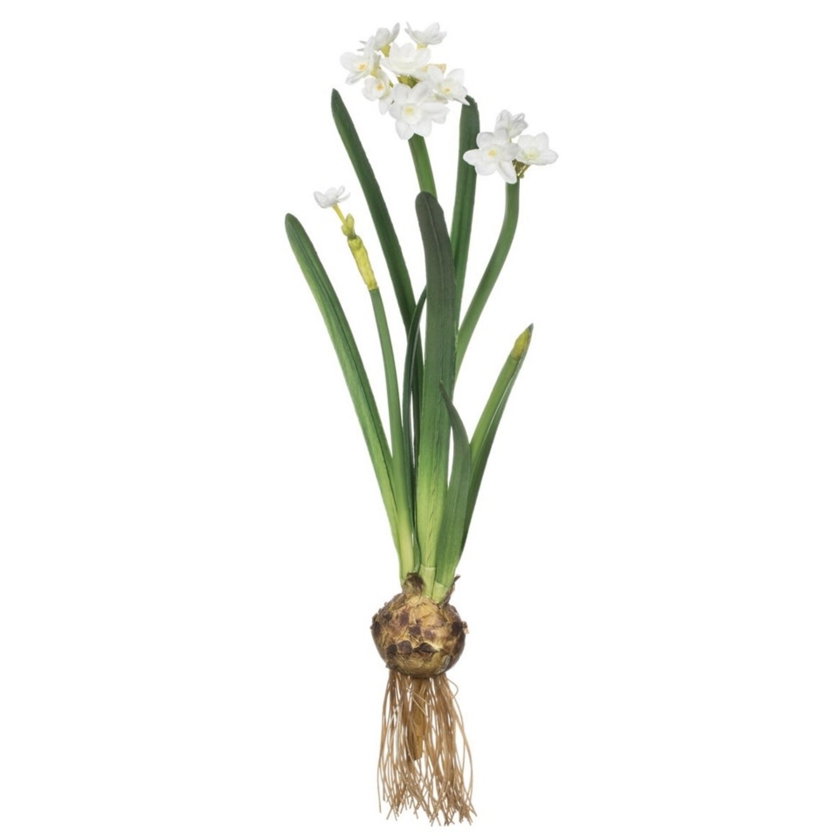 Discount Central Sullivans Artificial Paperwhite With Bulb Stem 20H White /EA.