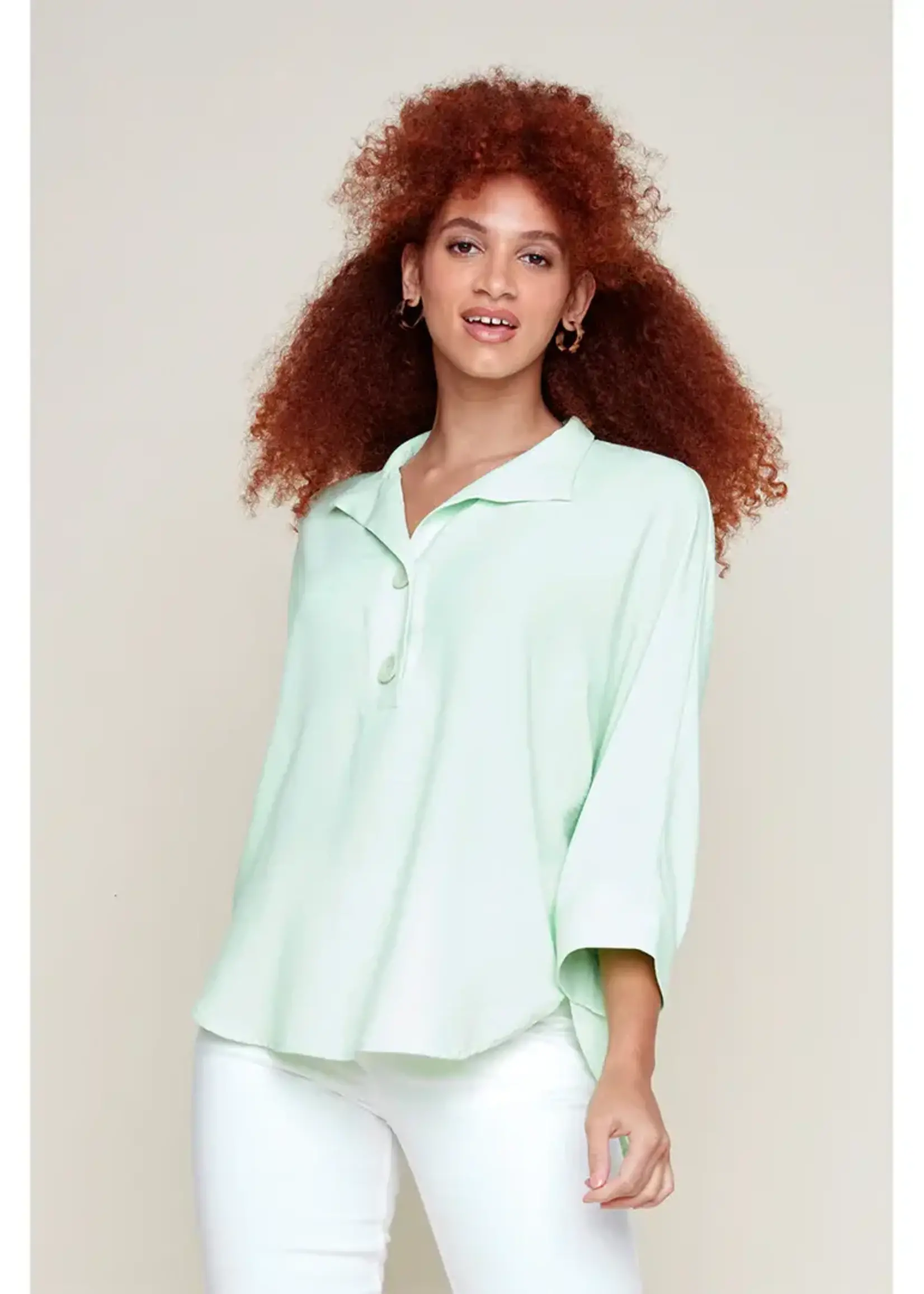 Renuar Collared rolled sleeve blouse