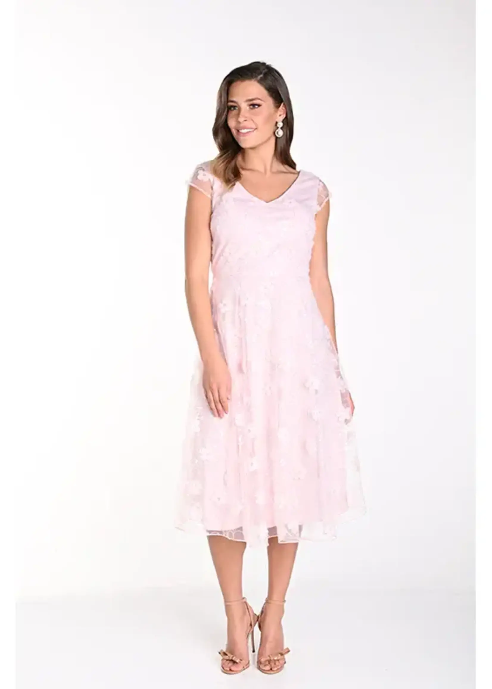 Frank Lyman Cap sleeve floral applique dress