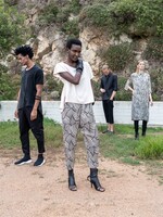 Lotus Eaters Culotte linen print pant
