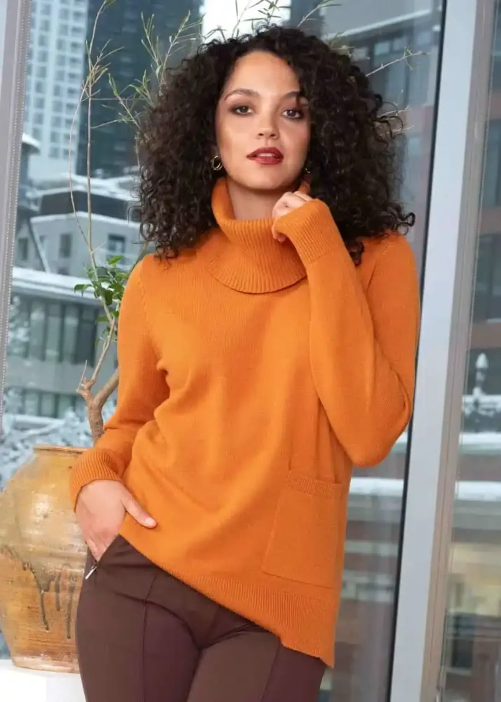 Alison Sheri Detachable neck knit sweater
