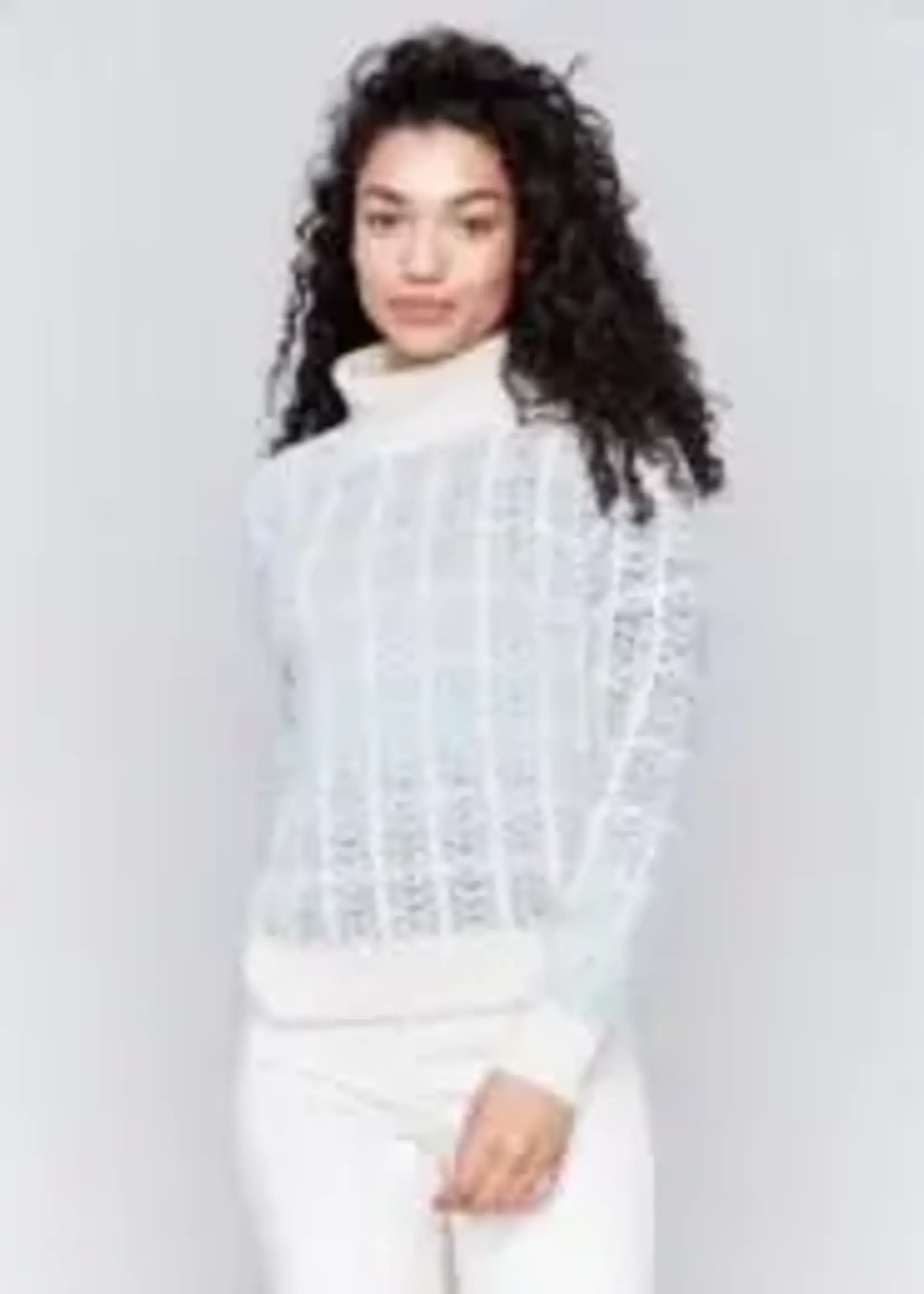 Charlie B Ombre Jacqard turt neck