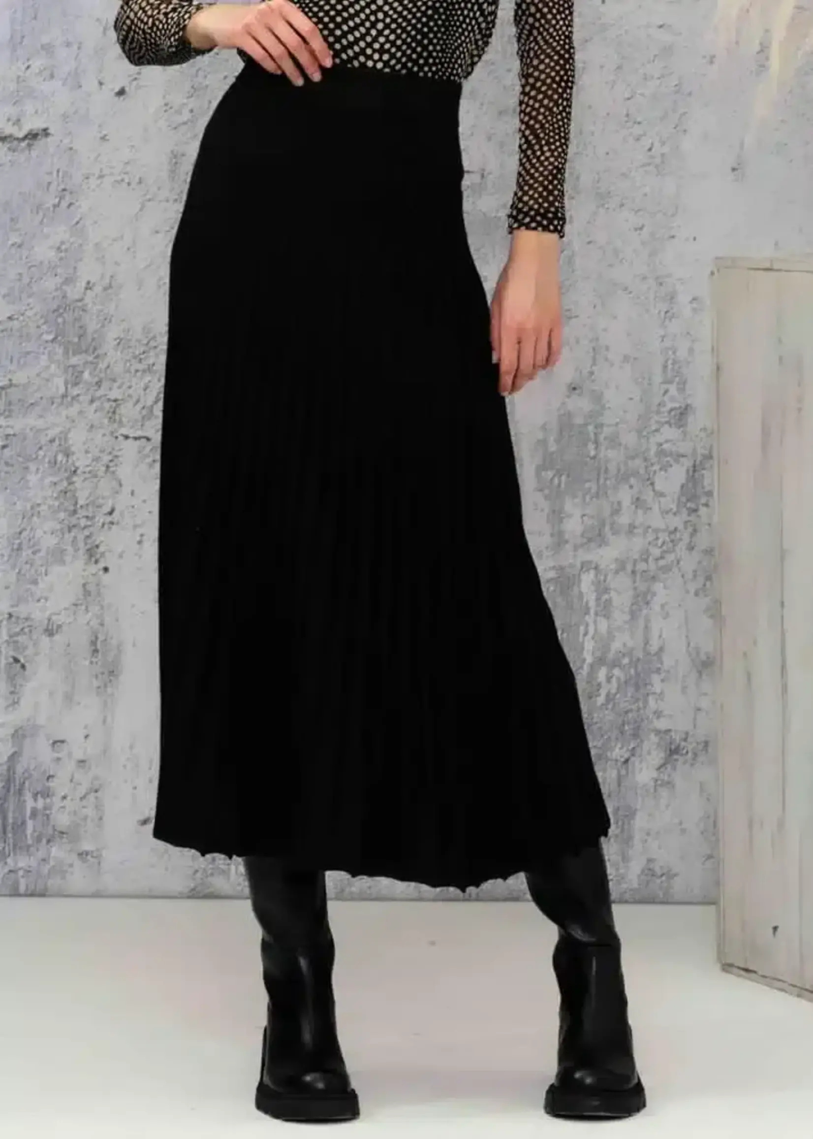 Alison Sheri Pleated long skirt