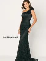 Cameron Blake Fit an flare sequin lace gown