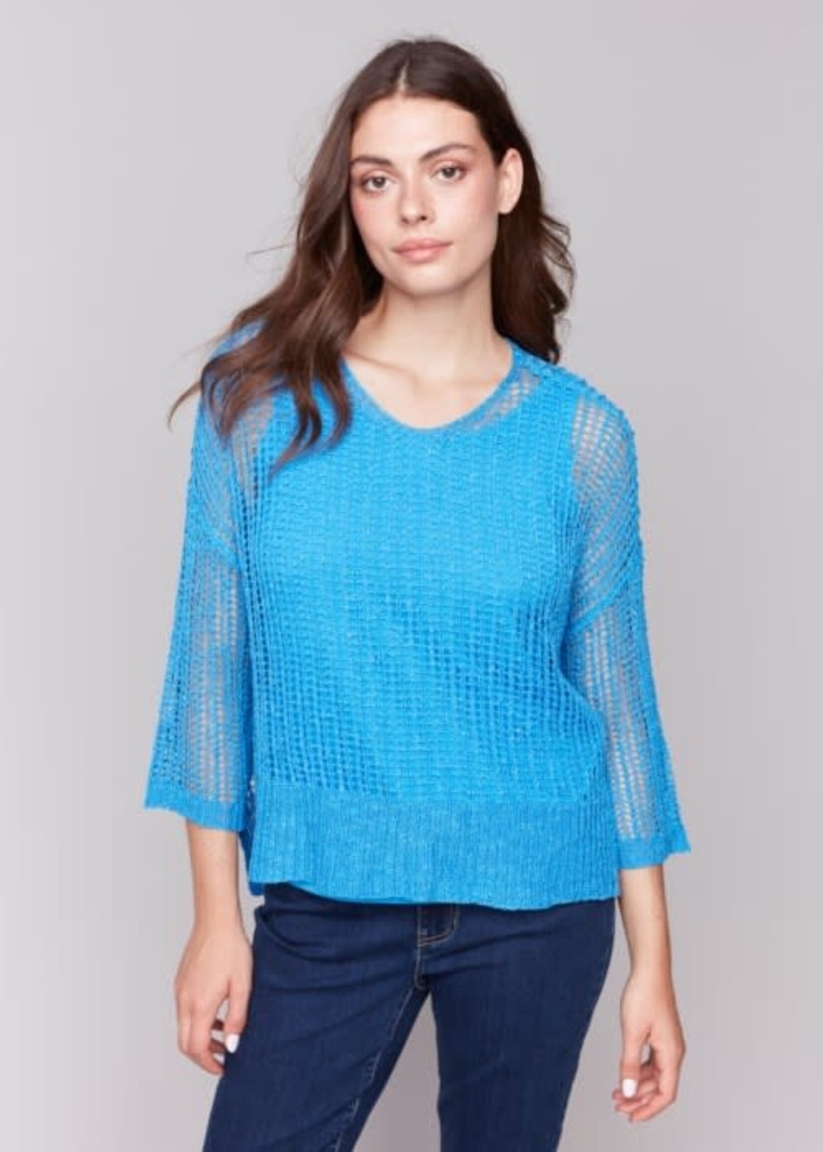Charlie B Batwing Fishnet Crochet Sweater