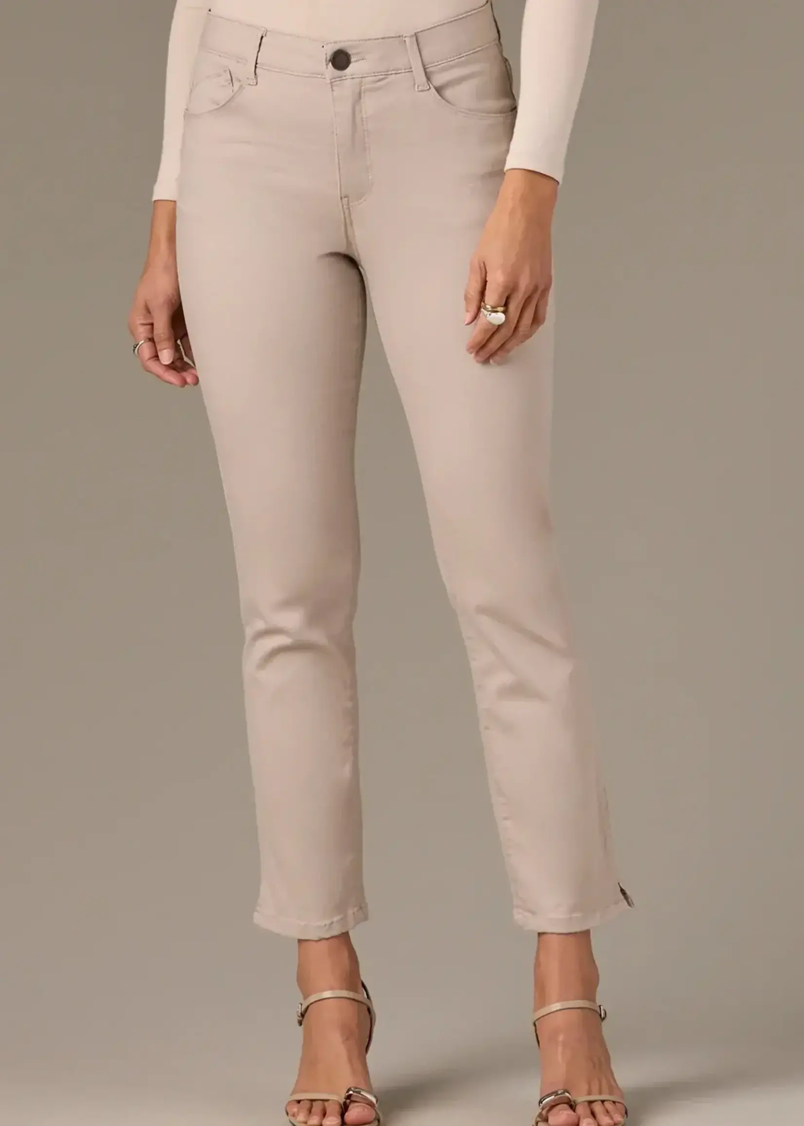 Wit & Wisdom High- Rise Skinny Pant
