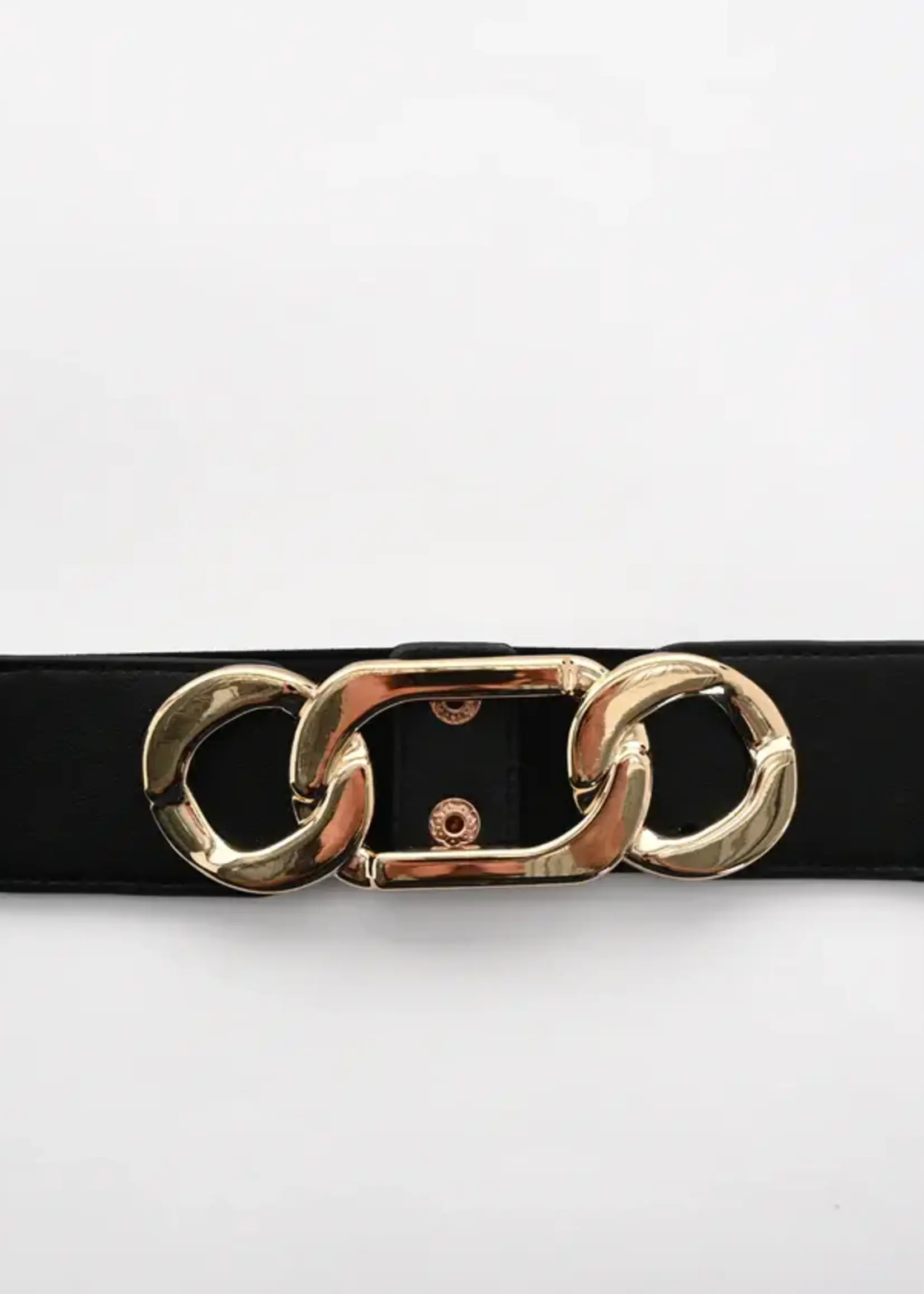 Frank Lyman Gold Buckle Belt