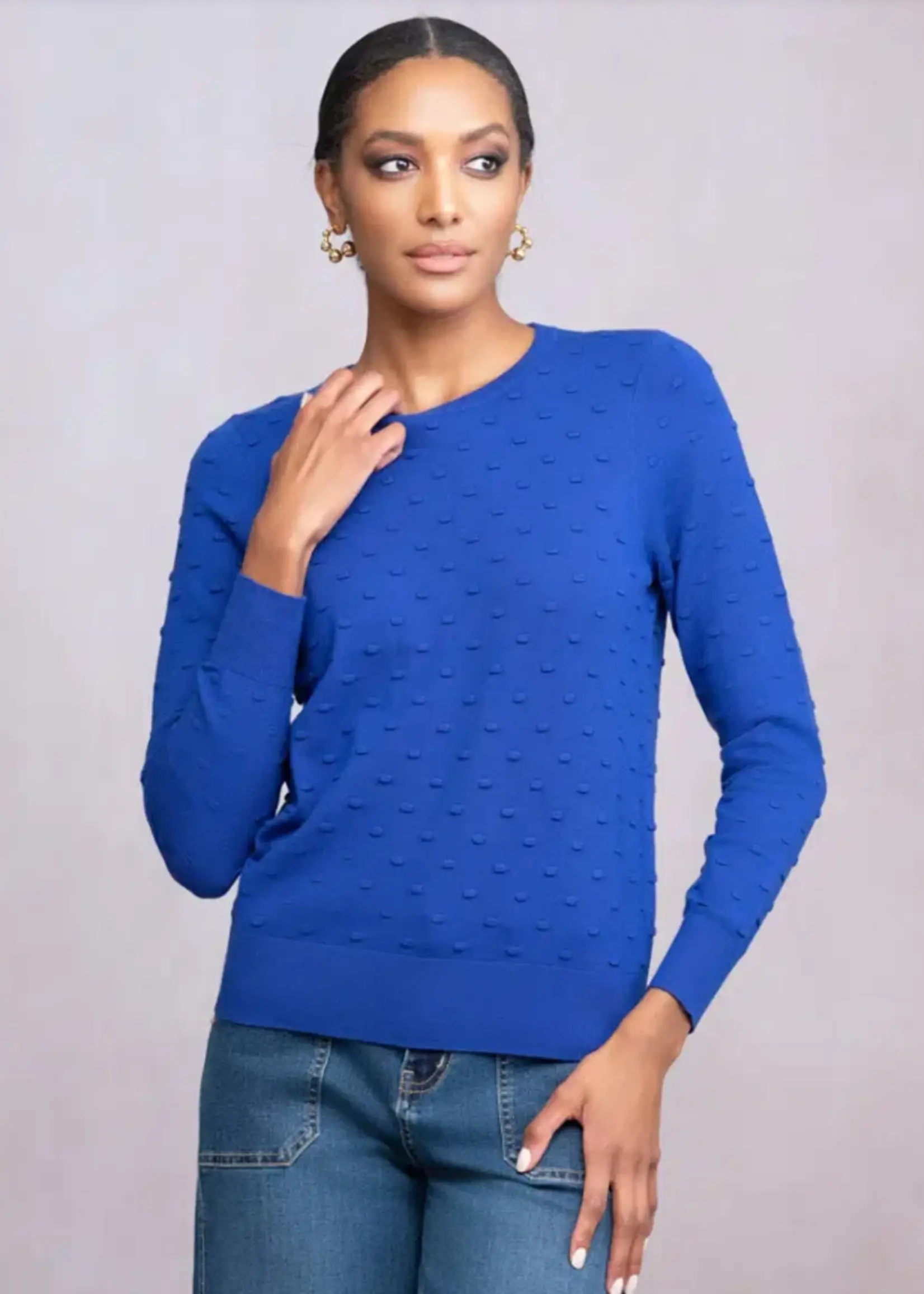 Alison Sheri Light Weight Crew Neck Sweater