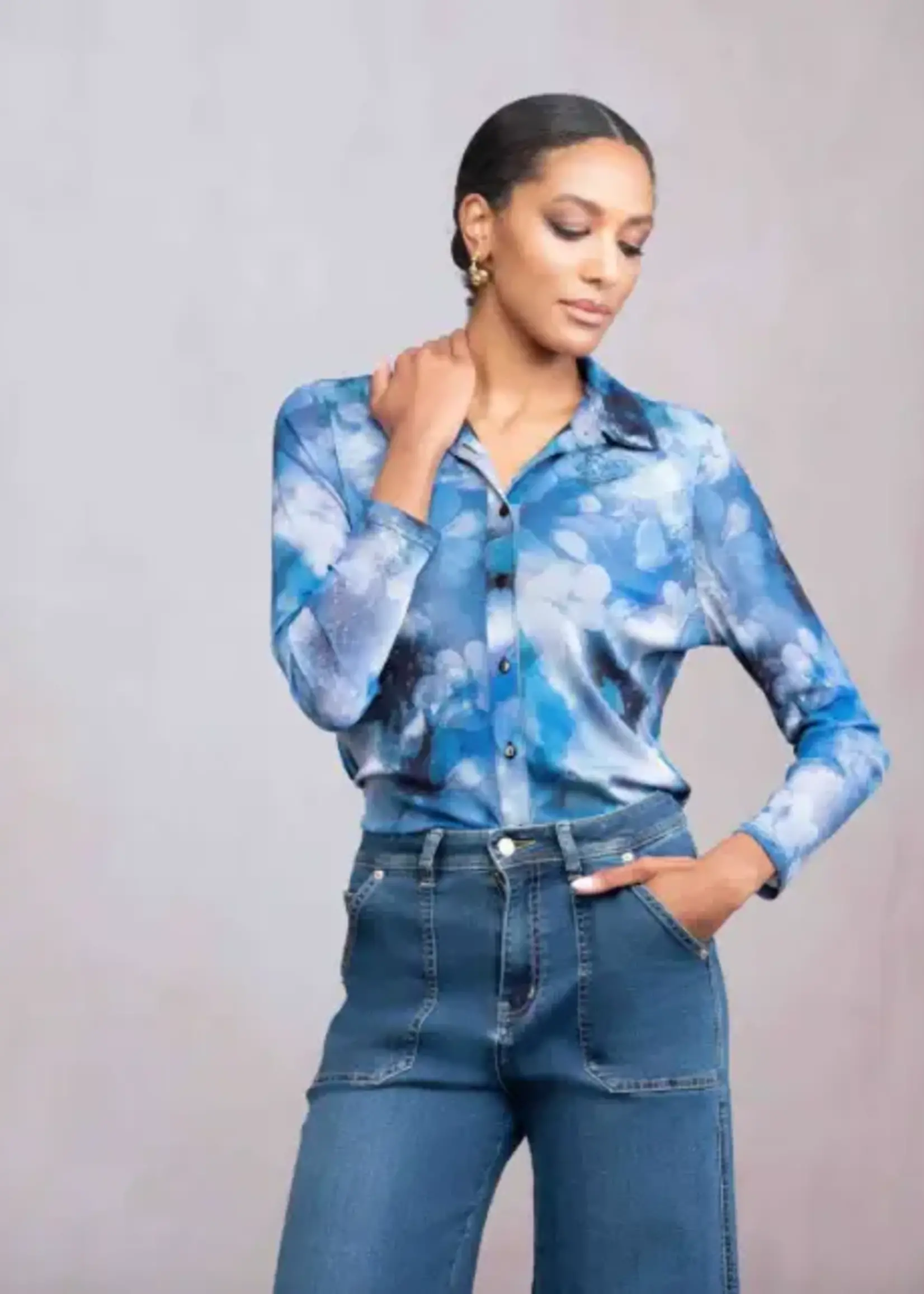 Alison Sheri Chemise Print Button Up Blouse