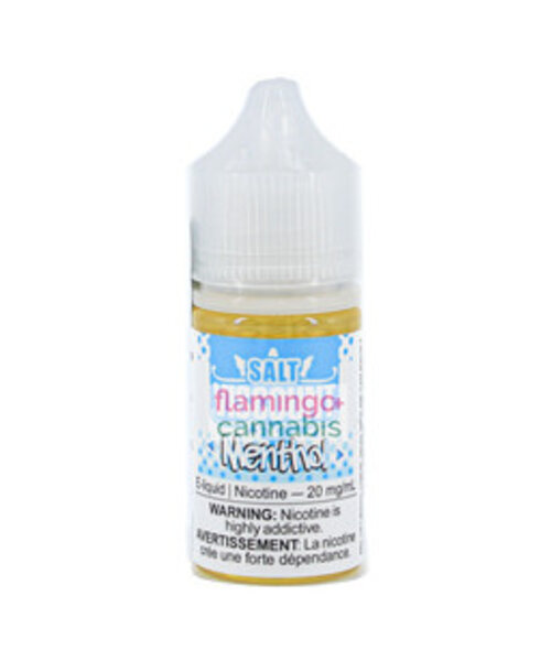 Viscount Salt Menthol 30mL AB