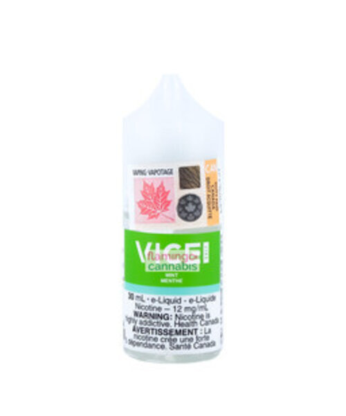 VICE Salt Mint 30mL AB