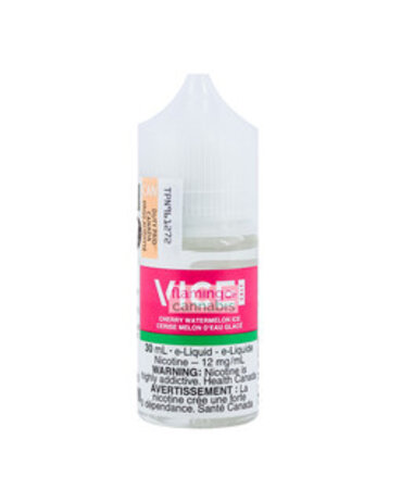 VICE VICE Salt Cherry Watermelon Ice 30mL AB VICE VICE Salt Cherry Watermelon Ice 30mL AB