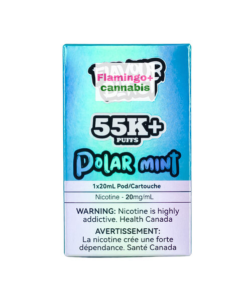 Flavour Burst X Pre-Filled Pod 55k Puff AB Polar Mint