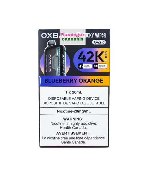 OXBAR G42K Rechargeable Disposable Blueberry Orange AB