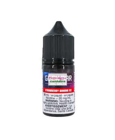 geek bar Geek Bar Salt 30ml AB Strawberry Banana Ice 20mg