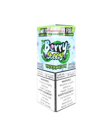 Mr Fog Mr Fog Salt 30ml 20mg AB Berry Steezy Watermelon