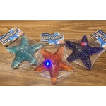 PLAY VISIONS Light Up Ooey Gooey Star Fish