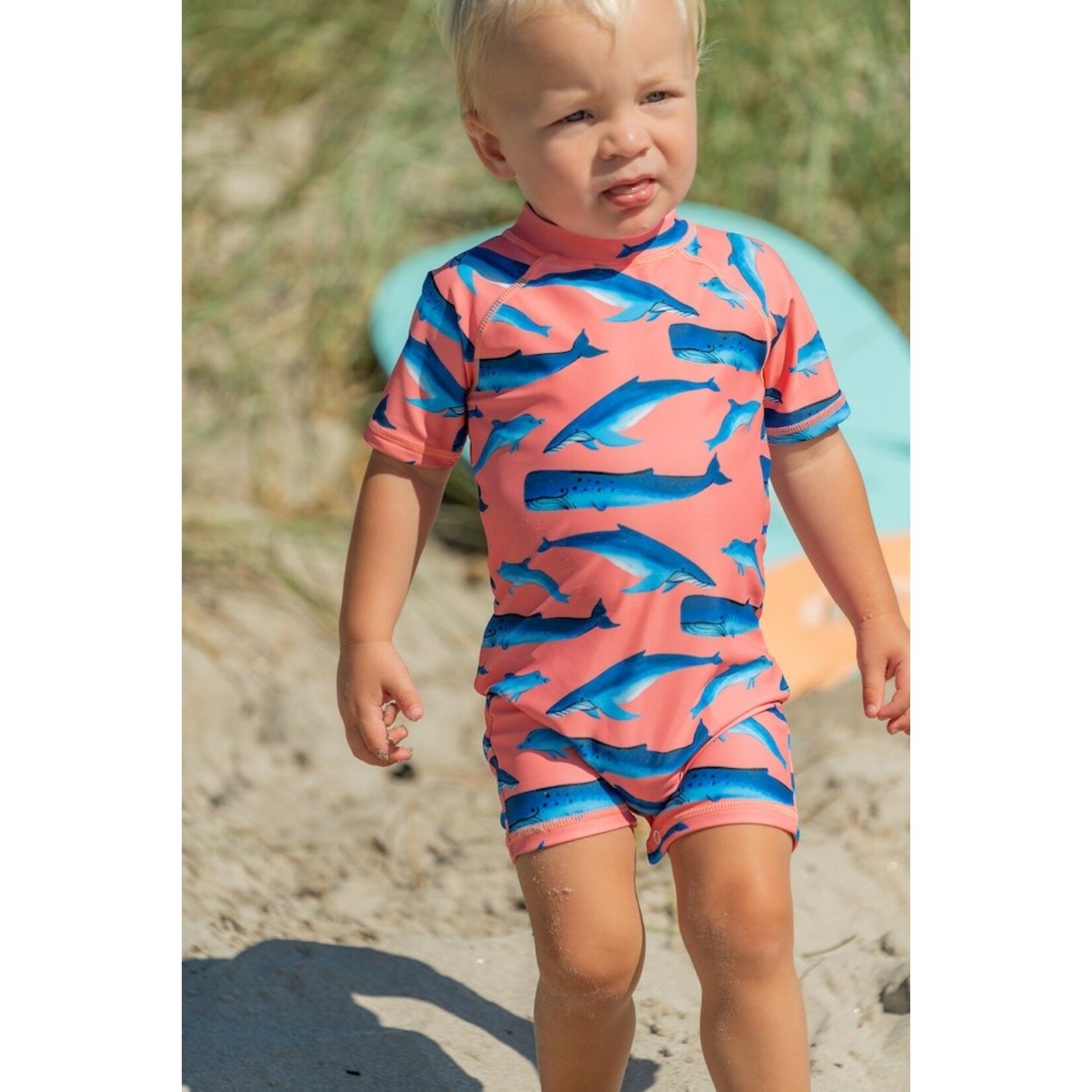 SNAPPERROCK Short Sleeve Whale Tail Sunsuit